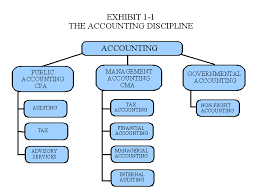 management accounting chapter 1