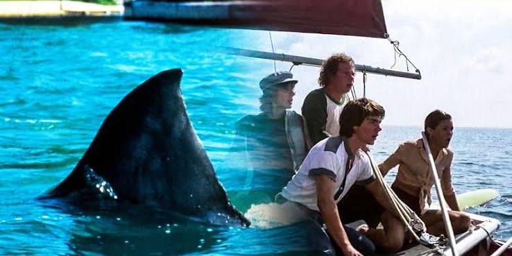 Wild Jaws 2 Story Reveals Cast Were Stalked By A Real Shark