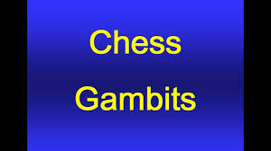 Gambit esports, also known by its former name gambit gaming, is a russian esports organisation based in the united kingdom. Chess Gambits Youtube