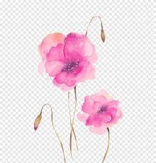 Fiori e pensieri laquila, apricot wedding flowers, branch, artificial flower png. Watercolor Galaxy Png Images Pngegg