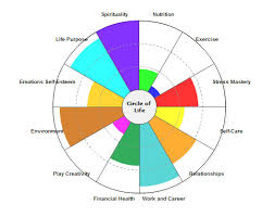 Step 4 Choose A Life Area To Focus On