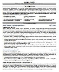 Free 7 Sample Sales Executive Resume Templates In Ms Word Pdf