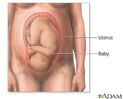 The following prepositions are used to indicate position. Your Baby In The Birth Canal Uf Health University Of Florida Health