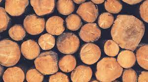 You can buy a wide range of wood planks, solid wood bench and solid wood table here. Different Types Of Wood Timber The A Z Of Good Wood Friends Of The Earth