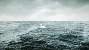 We did not find results for: Guess What The Oceans Could Completely Evaporate Into Space Grist