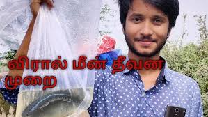 அயிரை மீன் ll Ayira fish ll Fresh water fish ll