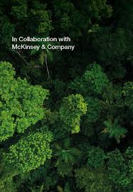 Natural 364 photos · curated by michael hanna. Report Nature And Net Zero World Economic Forum