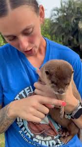 Good morning from Windsor, Ontario, Canada