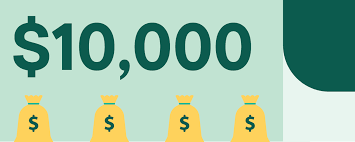 These long snouted insect eating animals are easily recognizable around the world. Where To Get A 10 000 Personal Loan Credible