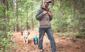 (place board and 10' lead included.) Primal Needs Aggressive Behavioral Dog Training Mt Shasta