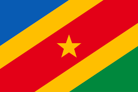 Flag of republic of the congo describes about several regimes, republic, monarchy, fascist corporate state, and communist people with country information, codes the national flag of congo republic was adopted in 1959 to substitute the french tricolor; Unified Congo Flag Vexillology
