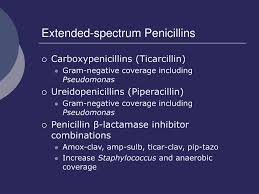 Image result for Extended Spectrum Penicillin
