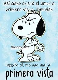 Pin De Mirna Antonio En Imagenes Amor A Primera Vista Snoopy Cayendo