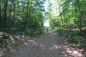 Swimming is prohibited at millers pond state park reserve. Tstl 16 10 Millers Pond State Park