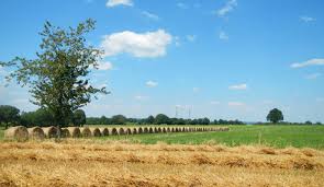 Plan De Competitivite Et D Adaptation Des Exploitations Agricoles Chambre D Agriculture Vienne