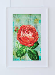Well you're in luck, because here they. Rose Print Rose Art Botanical Print Flower Kitchen Decor Floral Print Floral Wall Decor Rose Wall Art Welovecmyk