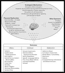 Developmental Window For Common Impairments And Comorbid Conditions In Download Scientific Diagram