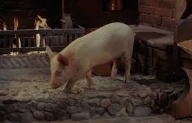 Image result for Freddy the Pig and Gub gub