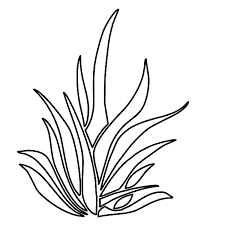 Grass Coloring Pages For Kids Color Luna Coloring Pages For Kids Coloring Pages Tree Outline