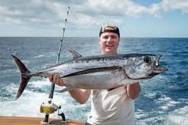 Any of various often large scombroid marine food and game fishes of the. Tuna Fishing Top Species And Where To Catch Them