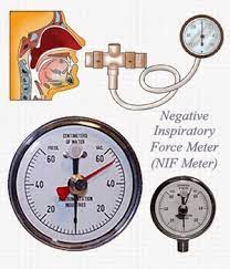 Five Pearls For The Dyspneic Patient With Guillain Barre Syndrome Or Myasthenia Gravis