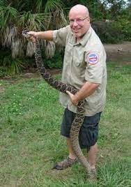 Eastern Diamondback Rattlesnake V Red Tailed Hawk Rattlesnake Deadly Animals Animals Images