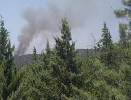 Μοιραστείτε το share to facebook. Uldhn7q81xg5qm