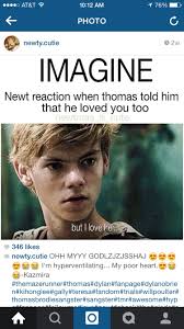 Imagine I Would So Go To Newt Mate Just Cause He S Hot And Has The Best Personality Doesn T M Maze Runner Funny Maze Runner Imagines Newt Maze Runner