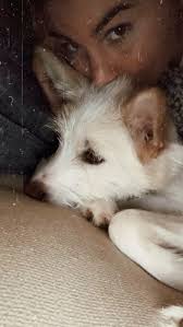 He’s my best buddy & everything I never knew needed 💙