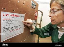 Hierholzer hi-res stock photography and images