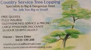 Caboolture tree removal has provided tree lopping, tree maintenance and stump removal and. Country Service Tree Lopping Home Facebook