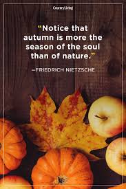 23 Inspirational Quotes About Change Of Seasons Swan Quote