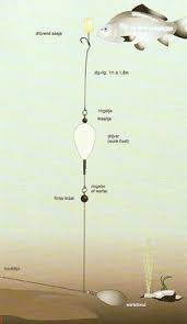 This means that an impact lead must be used to provide a clip for the lower hook to be clipped to. 36 Carp Rigs Ideas Carp Rigs Carp Carp Fishing