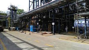 Based on the idea that natural organic product is safer and healthier. Optimistic Organic Sdn Bhd Chakrabitara Sdn Bhd