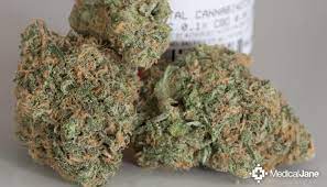 Most users experience a fast onset of light. Blue Dream Marijuana Strain Review
