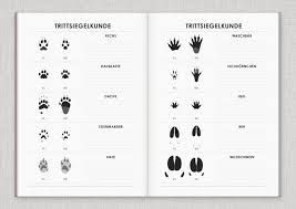 Ein einzelner pfotenabdruck ist schwer einzuordnen. Anleitung Archive Iris Luckhaus Illustration Design