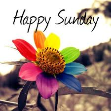 We did not find results for: 90 Inspirational Sunday Morning Quotes Wishes Images