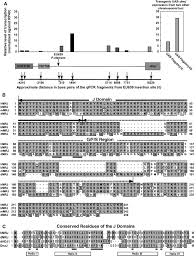 We did not find results for: A Drosophila Ortholog Of The Human Mrj Modulates Polyglutamine Toxicity And Aggregation Sciencedirect
