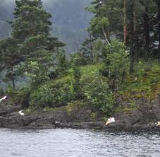Juli 2011 handelte es sich um zwei zusammenhängende terroristische anschläge des norwegischen rechtsextremisten anders behring breivik gegen norwegische regierungsangestellte in oslo und gegen jugendliche in einem feriencamp auf der norwegischen insel utøya, denen 77 menschen zum opfer fielen. Anschlage In Norwegen 22 Juli 2011 Ein Angriff Auf Unsere Vernunft Welt