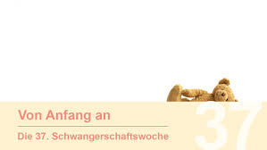 Schwangerschaftswoche 37 Krankenhaus Reinbek