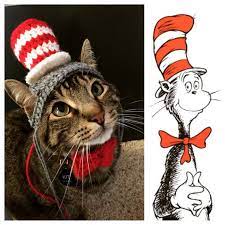 Cat In The Hat Cat Hat Costume Dr Seuss Crochet Pet Costumes Cat Sweaters Pet Costumes