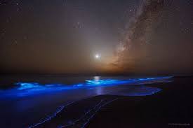 Venus Numerous Bright Stars Most Are Closer Than 100 Light Years Away Zodiacal Light The Diagonal Beam Of Light Cros Astronomy Pictures Pictures Stargazing