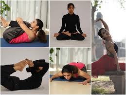 Her role in magane en marumakane (tamil) also drove attention. Yoga Asanas That You Must Do Every Day Times Of India