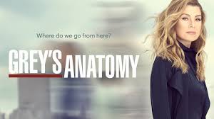 The seventeenth season of the american television medical drama grey's anatomy was ordered on may 10, 2019, by american broadcasting company (abc). Grey S Anatomy Season 17 Episode 10 Super Imports