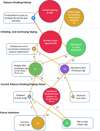 The Unique Contribution Of E Cigarettes For Tobacco Harm Reduction In Supporting Smoking Relapse Prevention Springerlink