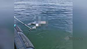 Sholat 5 waktu hukumnya wajib sehingga setiap muslim diwajibkan untuk melaksanakan sholat. Mayat Lelaki Berjaket Hengyi Ditemukan Terapung