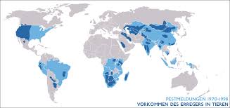 Перевод слова pest, американское и британское произношение, транскрипция, словосочетания, однокоренные слова, примеры использования. Pest Wikipedia