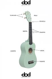 Guia Como Aprender A Tocar El Ukelele Los acordes de ukelele mas esenciales y comunes que necesitas saber como principiante. guia como aprender a tocar el ukelele