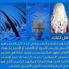 Pin By Ritaj Taj On معلومات Did You Know Movie Posters Pics