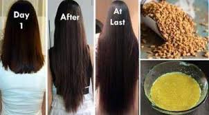 A person who cuts his hair over his lifetime forces the body to grow 22 meters of replacement hair. Mangal Parinay 6 Hair Benefits Of Fenugreek Seeds For Long Healthy And Shiny Hair